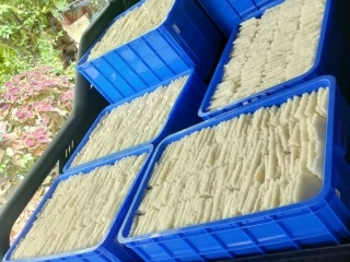 GIAO PHÔI CƠM, CƠM SẤY SỐ LƯỢNG LỚN TOÀN QUỐC